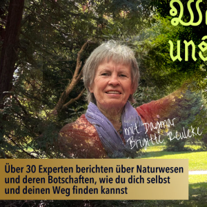 Online Kongress System