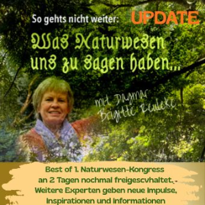 Online Kongress System